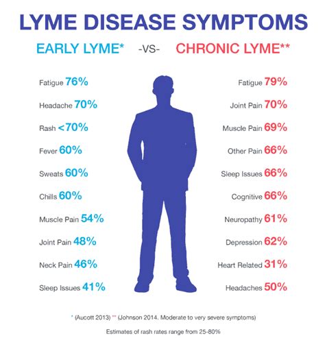 Lyme Disease Symptoms From Early Stages To Chronic Lyme Lyme Disease