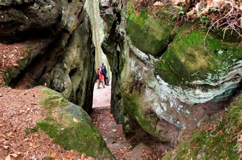 Verken de machtige mt titlis van zwitserland in stijl op deze privétour van 6 uur vanuit luzern. Familiewandeling in Klein-Zwitserland: de natuur als ...