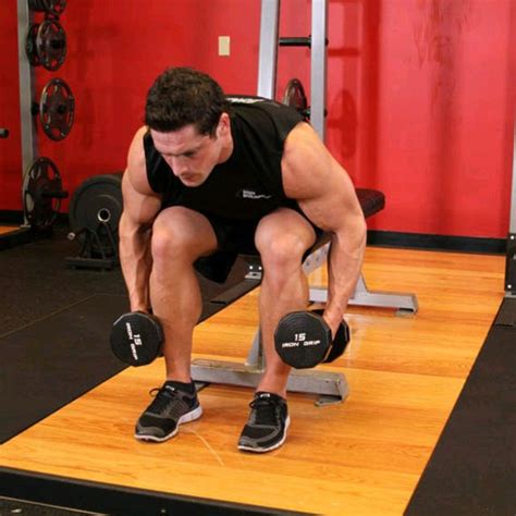 Seated Bent Over Rear Delt Raise By Gaurav Kumar Exercise How To