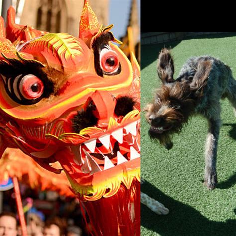 One Of These Pictures Is A Dragon At A Chinese New Year Parade The