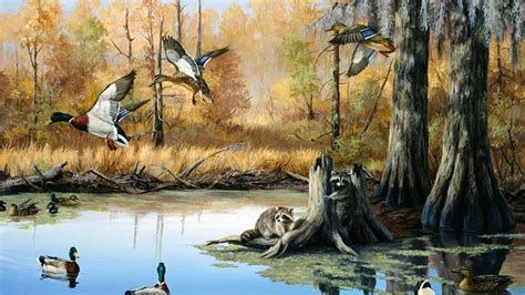 Duck Hunting Backgrounds 48 Images