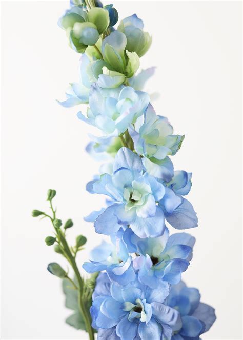 Blue Fake Larkspur Delphinium Wildflower 35 In 2021 Delphinium