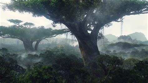 Trees Landscape Jungle Forest Fog Mist Wallpaper