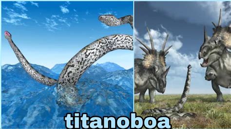 Anaconda Vs Titanoboafight Between The Giant Monsters Of This Earth