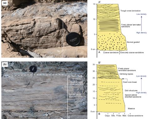 Other Types Of Turbidite A Normal Graded And Massive Sandstone Download Scientific Diagram