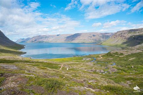 The Westfjords Of Iceland Arctic Adventures