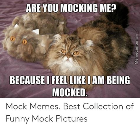 Are You Mocking Mep 0 Because I Feellike Iam Being Mocked Mock Memes