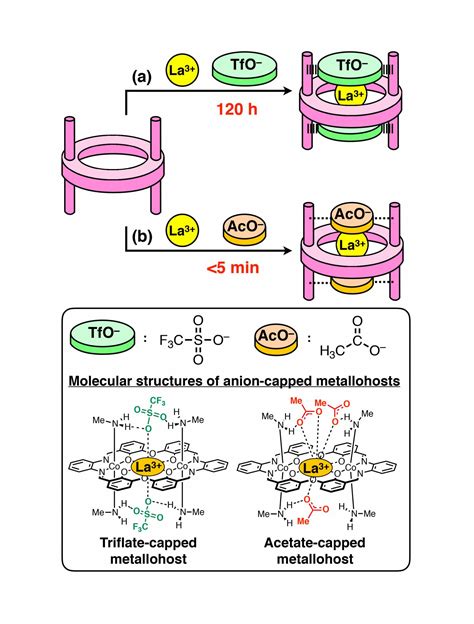 Figure 2 Image Eurekalert Science News Releases