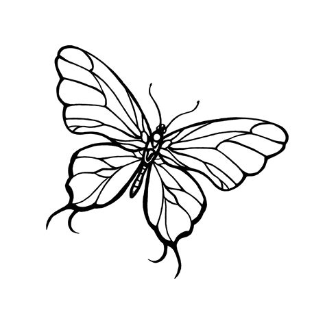 Simple Black Line Butterfly Tattoo Design Tattooimagesbiz