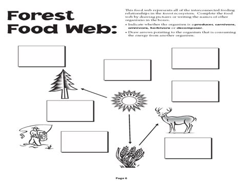 42 Food Web Worksheet Middle School Worksheet Database