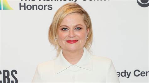 Amy Poehler Developing Swedish Death Cleaning Series