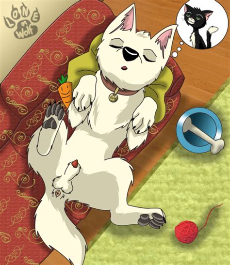 Rule 34 Anus Bolt Character Bolt Film Canine Cat Disney Dog