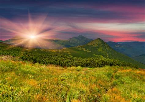 Mountains Slope Trees Field Grass Wallpapers Hd Desktop And
