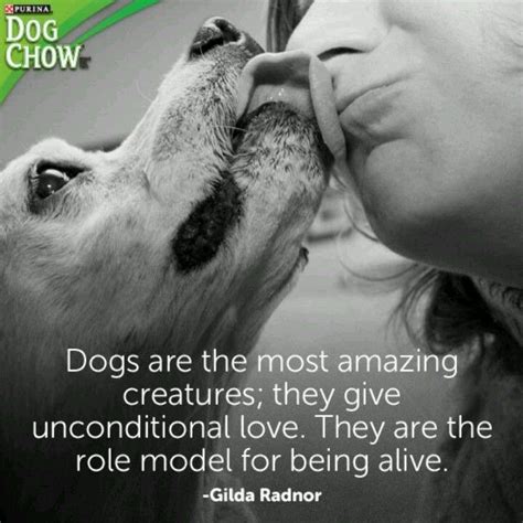 Dogs Unconditional Love Animal Lover Quotes Dog Lover Quotes Dog