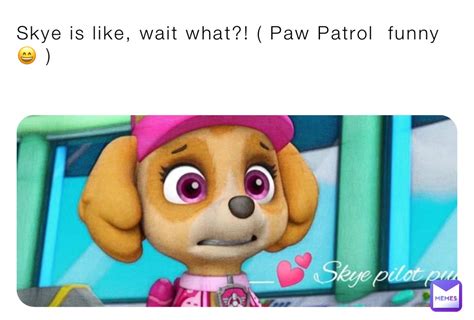 Skye Is Like Wait What Paw Patrol Funny 😄 Rileydawson703 Memes