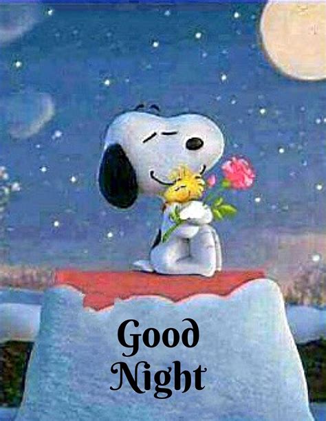 Pin By C R On Charlie Brown And Snoopy Goodnight Snoopy Snoopy Love