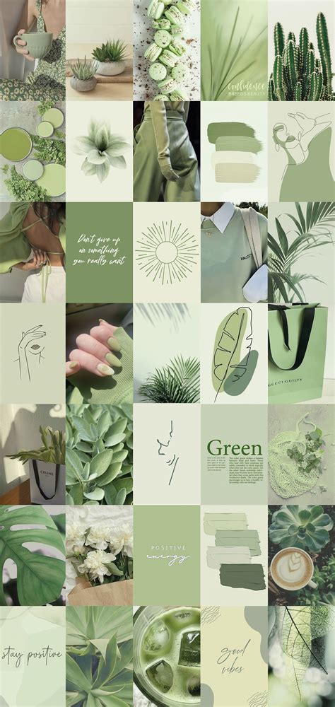 Sage Green Aesthetic Desktop Collage Iphone Wallpaper