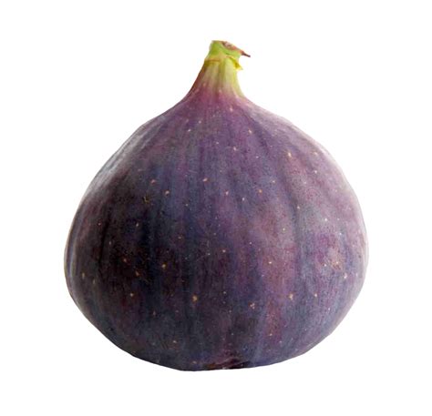 Common Fig Png Images Transparent Free Download Pngmart
