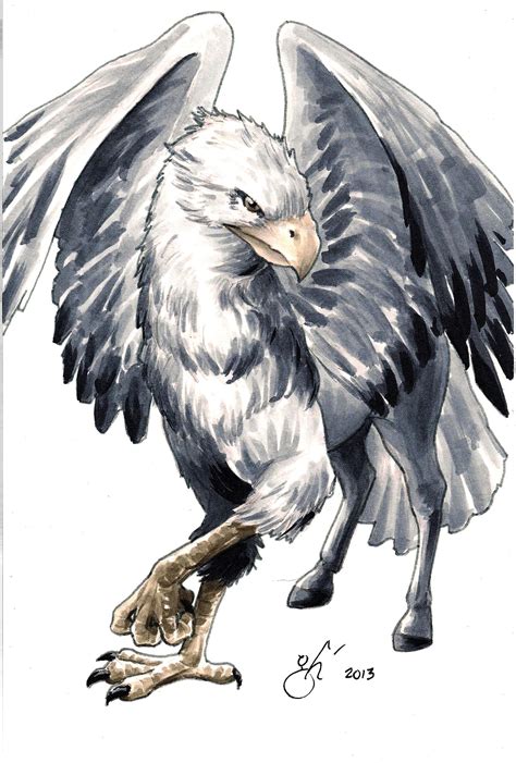 Hippogriff Wallpapers Top Free Hippogriff Backgrounds Wallpaperaccess