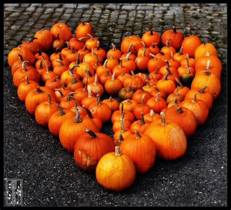 Pumpkin Heart Pictures Photos And Images For Facebook Tumblr