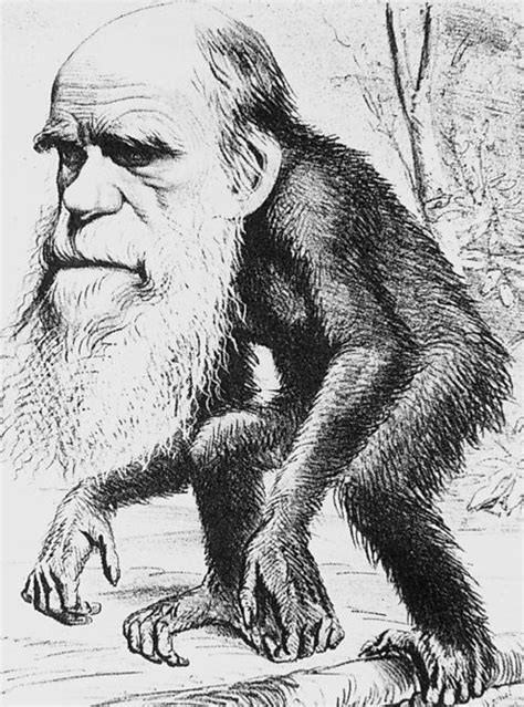 Charles Darwin Evolution And The Story Of Our Species Charles Darwin Darwin Evolution