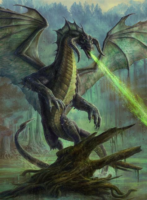 Black Dragon Variant Mtg Art From Adventures In The Forgotten Realms