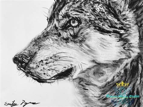 Original Art Lone Wolf Charcoal Drawing Etsy