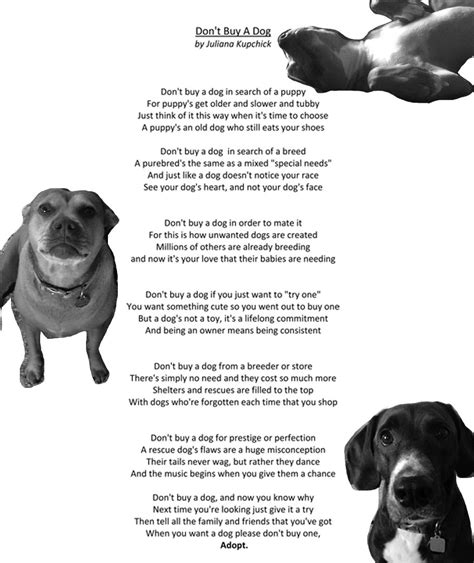 How to write a poem: Poem about dog adoption (With images) | Dog poems, Dogs, Puppies