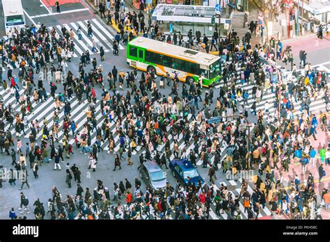 Tokyo Japan Jan 14 2017 Shibuya Crossing Pedestrian Scramble During