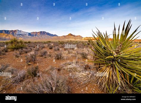 Red Rock Canyon In The Mojave Desert Navada Usa Stock Photo Alamy