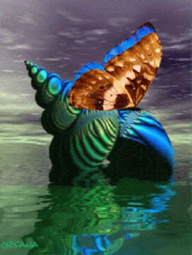 Butterfly Snail GIF Butterfly Snail Water Discover Share GIFs
