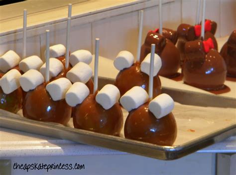 Should You Bring Your Own Snacks to Disney World to Save Money