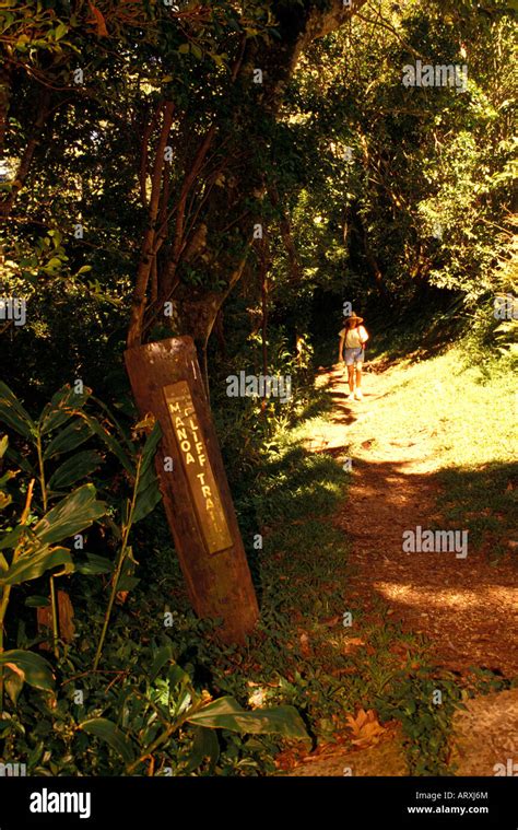 Makiki Trail Hi Res Stock Photography And Images Alamy