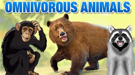 An omnivorous person or animal. Omnivorous Animals Names | Simba Tv | Omnivores Animals ...
