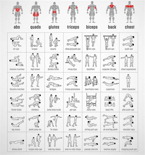 Core Muscle Workout Chart