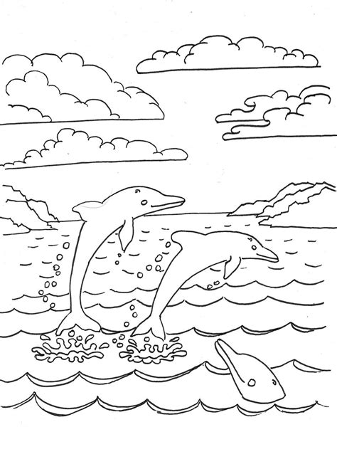 Coloring Pages Dolphins Jumping Gail Mcphersons Coloring Pages