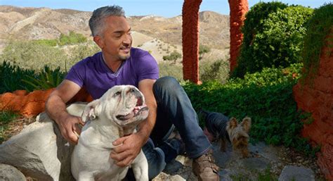 Dog Whisperer Cesar Millan Investigated Over Alleged Animal Cruelty