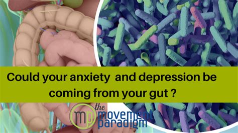 Could Your Anxiety And Depression Be Coming From Your Gut Sibo The