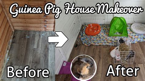 Guinea Pig House Makeover YouTube