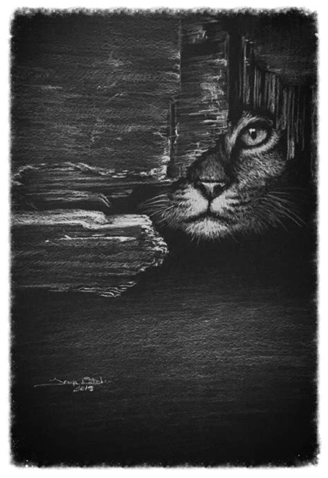 Curious White Chalk On Black Paper Drawing
