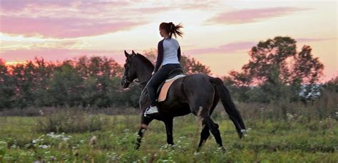 Rüyada Siyah Ata Binmek Ne Anlama Gelir, Neye İşarettir?