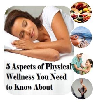 5 Key Aspects to Physical Wellness | Gateway to Mental ...