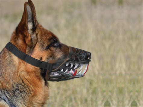 Dog Muzzle Werewolf Teeth Design Comfortable Flexible Material For