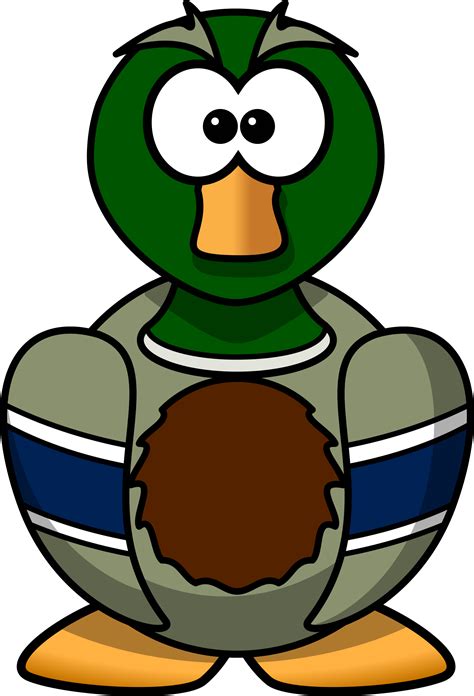 Duck From Front Png Image Duck Animals Bird