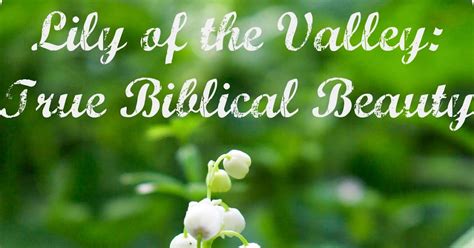 Lily Of The Valley True Biblical Beauty Intro Whispers To The Heart