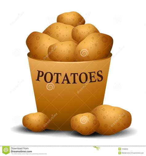 Potatoes Illustration Royalty Free Stock Photo Image