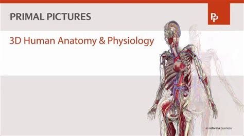 Complete Human Anatomy Primal 3d Interactive Series Kindle Read