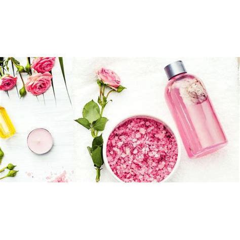 Pristine Organics Skin Care Rose Water Pack Size 100 Ml At Rs 30bottle In Bareilly