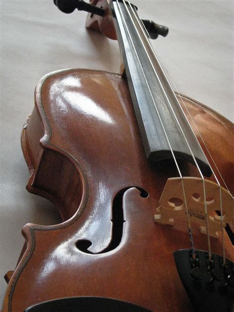 Violins Of Plymouth Antonio Stradivarius Lives