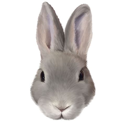 By now you already know that, whatever you are looking for, you're sure to find it on aliexpress. Rabbit Face - Newmoji